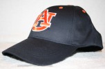 Auburn Navy Champ Hat